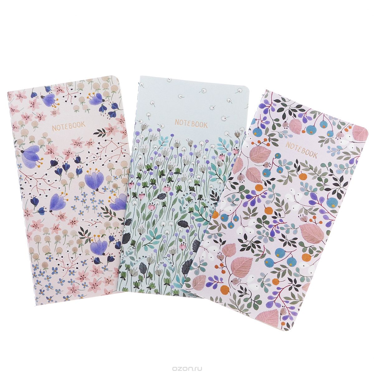 Dandelion Fields Notebook Collection (  3 )